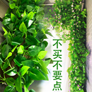 仿真藤条绿萝叶装 饰假树叶绿藤藤蔓植物花藤水管道遮挡空调绿叶花