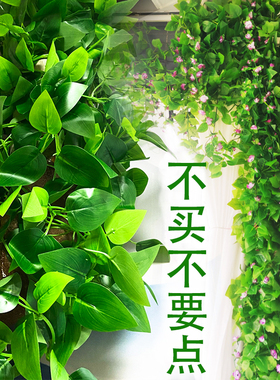 仿真藤条绿萝叶装饰假树叶绿藤藤蔓植物花藤水管道遮挡空调绿叶花