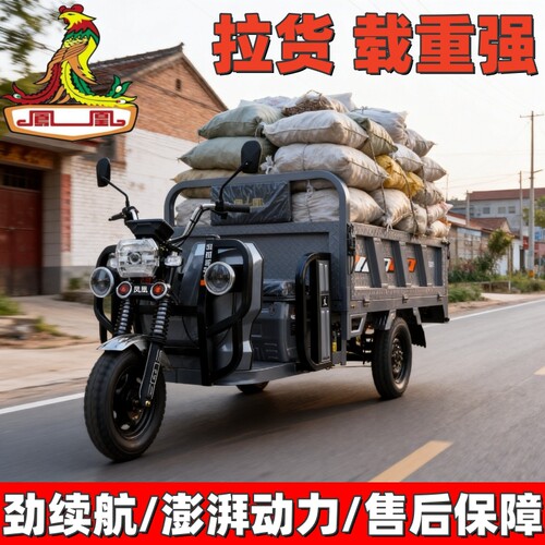 凤凰大车厢电动三轮车电瓶车爬坡家用农用载重王拉货大功率可上牌