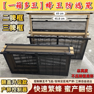 防分蜂蜜蜂防逃笼中蜂王产卵控制器产子控王笼中锋囚王意蜂隔王板