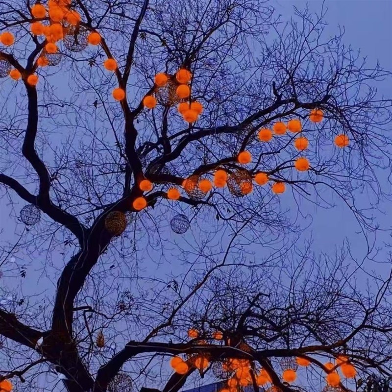 led新年彩灯太阳能柿子灯串防水户外庭院装饰灯挂树上喜庆氛围灯