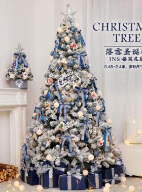 christmasee圣诞树大型