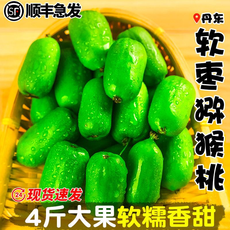 �����ӵ�������⨺��Ҷ���Ұ��С⨺�������ˮ�������ݮ����Բ��