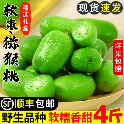 【热卖TOP榜】丹东软枣猕猴桃