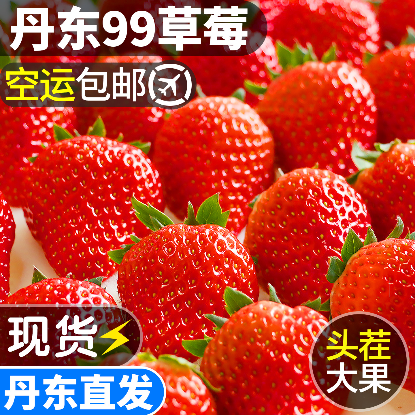 【送货上门】正宗丹东99草莓
