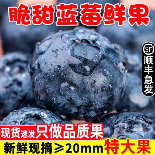丹东蓝莓酸甜可口现摘现发