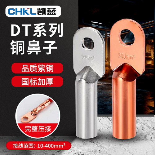 DT铜鼻子接线端子电线
