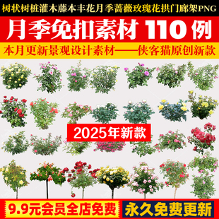 树状树桩灌木藤本丰花月季蔷薇玫瑰花拱门廊架PNG免抠图片PS素材