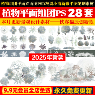 植物组团平面立面图块PSD灰调小清新彩平图笔刷顶视图树木PS素材