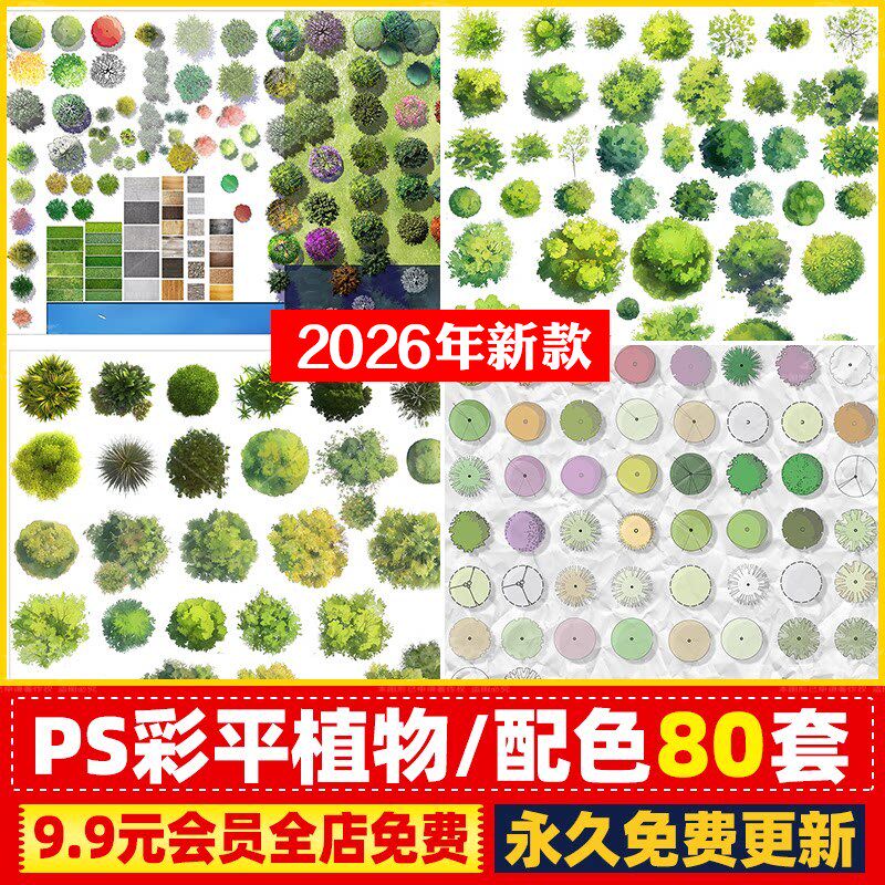 PS园林景观彩色平面图植物树分层草皮花卉纹理配色PSD彩平图素材