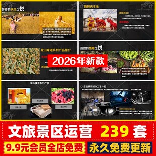 文旅运营方案景区旅游开发提升思路商业规划策划设计文本可研报告