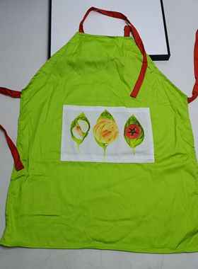 满20元包邮果绿色铁圈调节围裙罩衣清洁工作服z