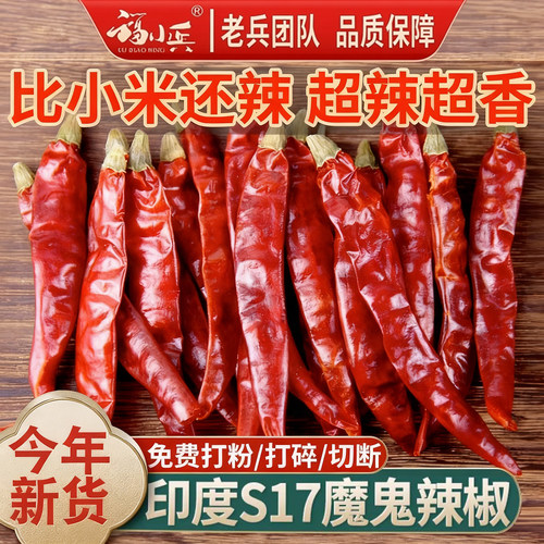 魔鬼印度可打面粉500g包邮干辣椒