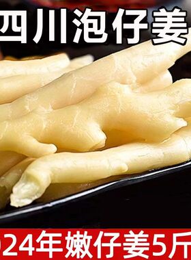 四川泡仔姜小黄姜特产5斤饭菜生姜老坛泡菜姜芽即食腌制农家泡菜