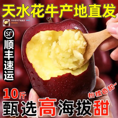 顺丰甘肃天水正宗花牛苹果蛇红果婴儿老人宝宝粉面脆沙甜新鲜水果