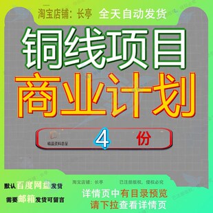 铜线项目商业计划数据分析报告规划设计方案企划书素材资料精品