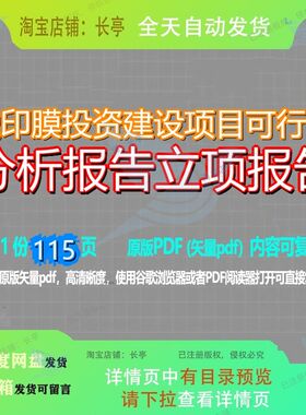 烫印膜投资建设项目可行性分析报告立项报告115页 可行性建设建