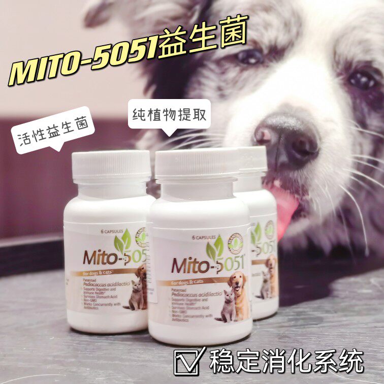 puppylab 美国mito5051乳酸片球菌宠物益生菌软便拉稀调理肠胃