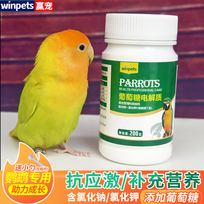 鹦鹉鸟葡萄糖电解质玄风虎皮牡丹