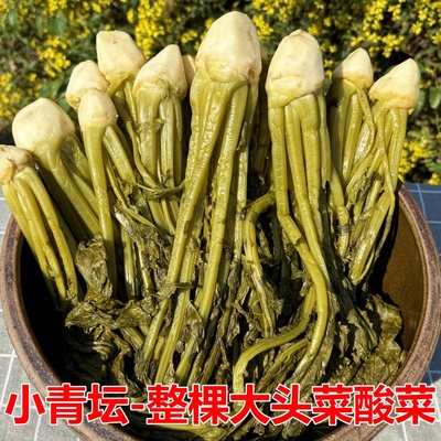 小青坛当季大头菜酸菜香辣下饭