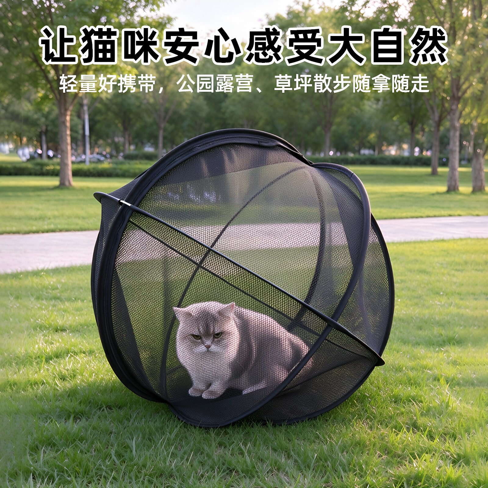 亚马逊Catsphere猫咪遛弯球便携式狗笼户外围栏球形可滚动猫帐篷