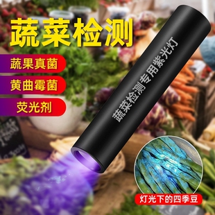 紫光灯手电筒蔬菜检测灯365nm紫光灯黄曲霉菌检测紫光手电筒
