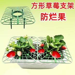 草莓立体栽培架种植托架方形盆栽培草莓托盘架支架防烂水培草莓架