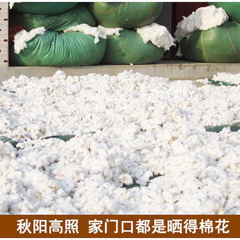 纯棉花被子冬被加厚保暖棉被垫被冬季单人宿舍床垫褥子棉絮被芯,床上用品,棉花被,淘宝优惠券,粉丝福利购,淘宝优惠卷