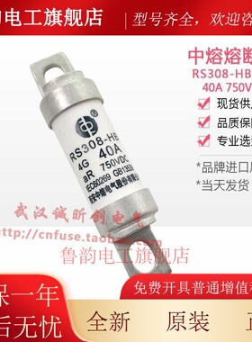 中熔保险 RS308-HB-2H 32-40-50-63-80A-100-125-160-200A 750Vdc