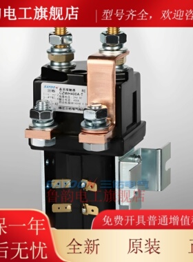 SW195直流切换接触器ZJWH-100A 200A 400A-T SW85 DC24V 48V 12V