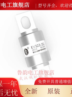 中熔 EV323-2GL-3NL 40A50A63A80A100A160A180A200A250A350A 250V