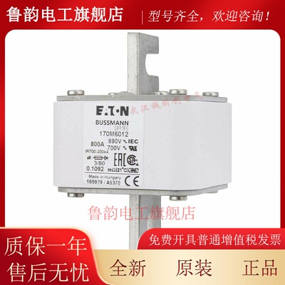 熔断器BUSSMANN 170M6010 170M6011 170M6012 170M6013 170M6014