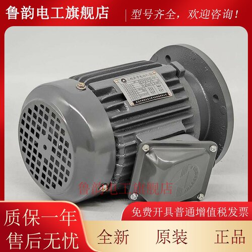 ADLEEPOWER爱德利AEVF 1/4HP 4P三相380V感应步马达爱乐群电机