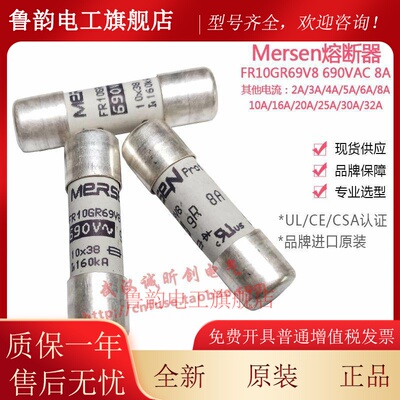 Mersen Ferraz保险丝 FR10GR69V32 32A 690V H1014583半导体保护