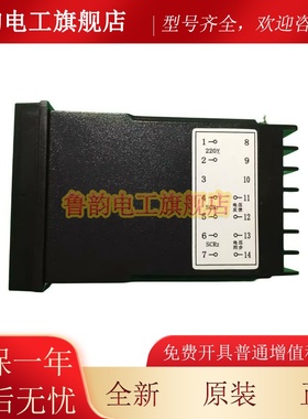 TD-6000立德 横钢机械 吹瓶机调压温控仪TD6000现货