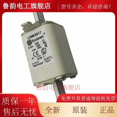 170M3811 3812 3813 3814 170M3815 170M3816 170M3817熔断器