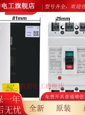 TENGEN天正TGM1-63M/3300 63A塑壳断路器 63A空气开 关3P 380V
