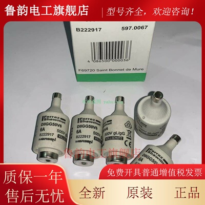B222917 DIIGG50V10 K200707 DIIGG50V16 K201765 MERSEN熔断器