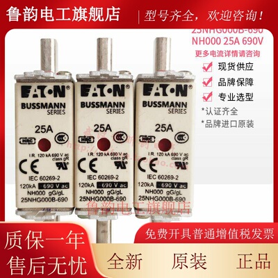 巴斯曼ETN熔断器16/20/32/35/40/50/63NHG000B-690V NH000 63A40A