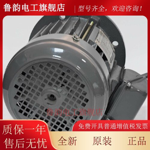 Adleepower Edley 750W铜电机Aevf 1Hp 4P三相异步电机Aco垂直