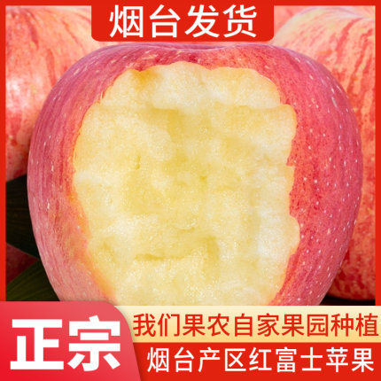 烟台红富士苹果水果新鲜当季整箱礼盒山东栖霞冰糖心丑苹果5/10斤