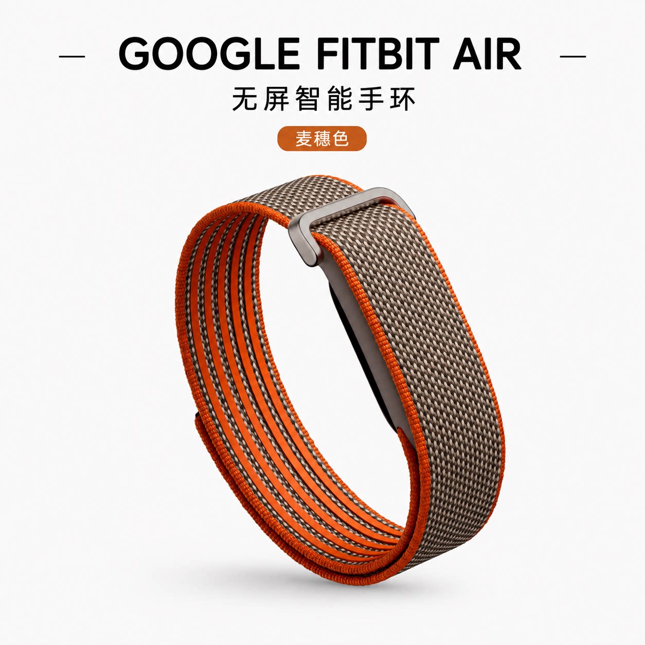 美国直邮谷歌Google Fi智能手环