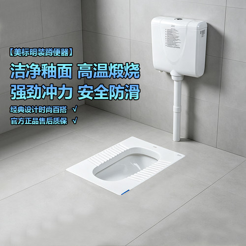 美标蹲便器陶瓷蹲厕带水箱防滑防臭蹲便器存水弯套装8006/8009