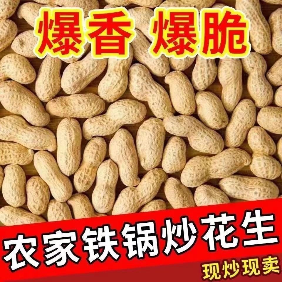 【净重】2024农家铁锅炒花生花生原味现炒现卖新货带壳炒熟批发