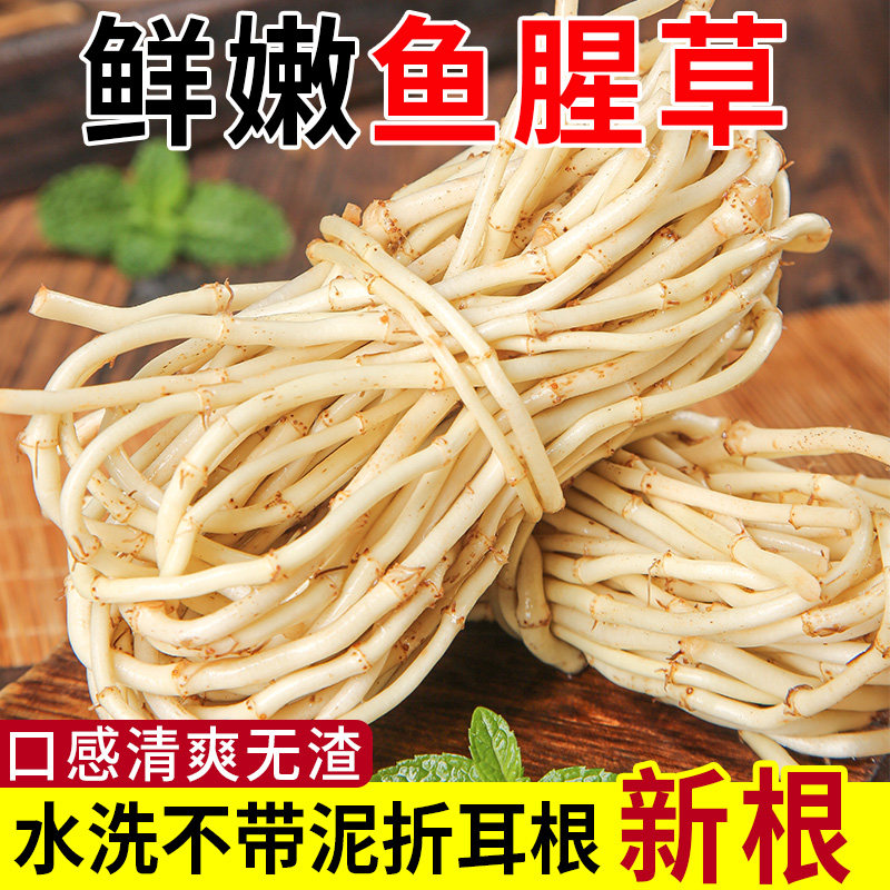鱼腥草折耳根嫩芽嫩根凉拌下饭菜