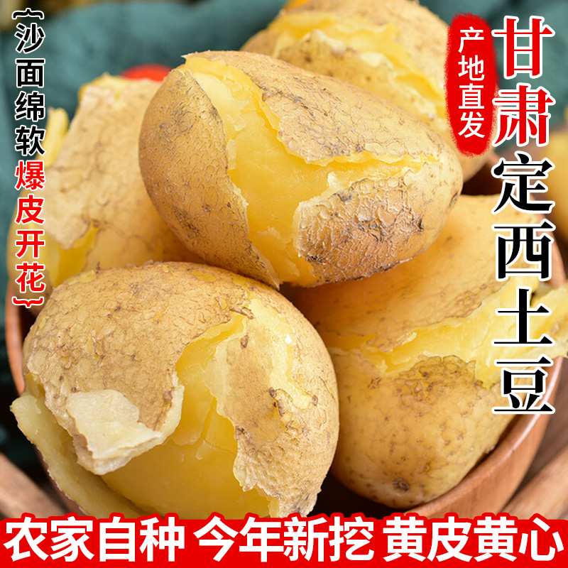沙面清香定西大土豆新鲜现挖