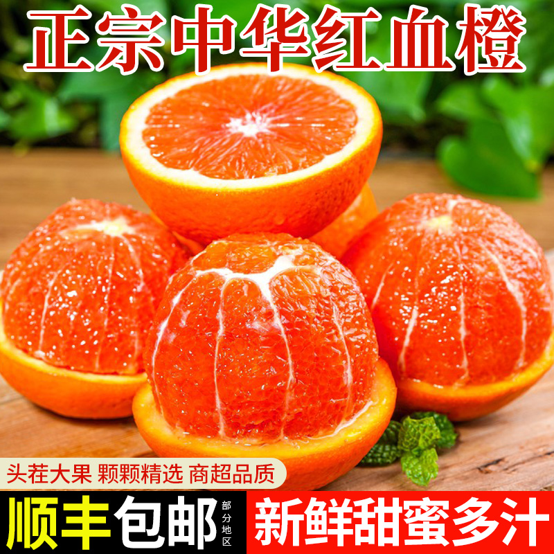 正宗中华红血橙果农手选整箱包邮