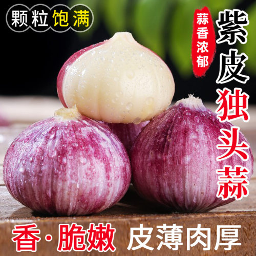 云南独头蒜辛辣味浓蒜香浓郁