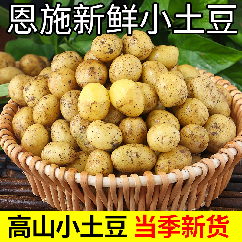 恩施小土豆新鲜蔬菜农家高山洋芋