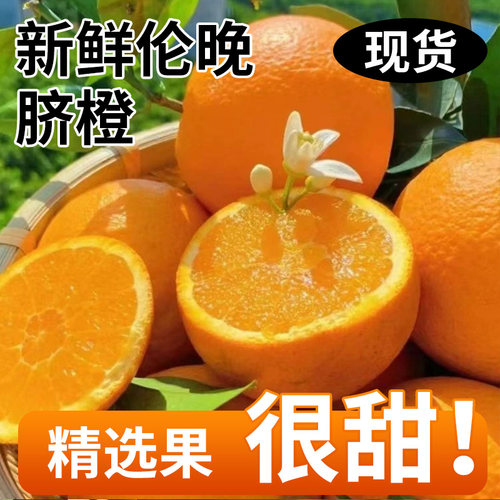秭归伦晚春橙整箱包邮新鲜现摘